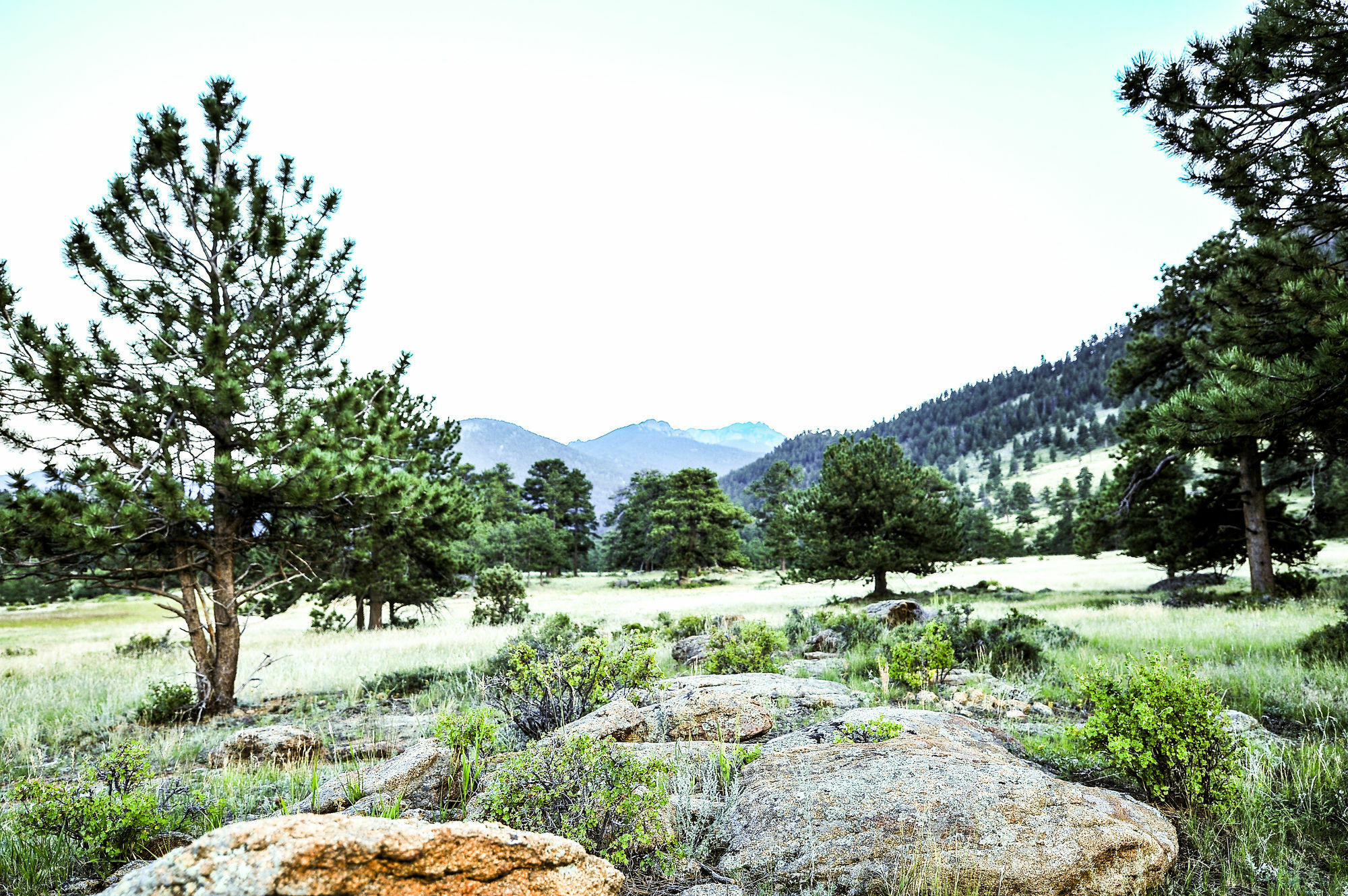 The Historic Crag'S Lodge Estes Park Exterior foto